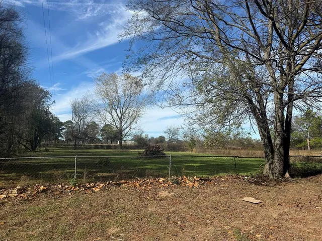 a lake view with a large trees