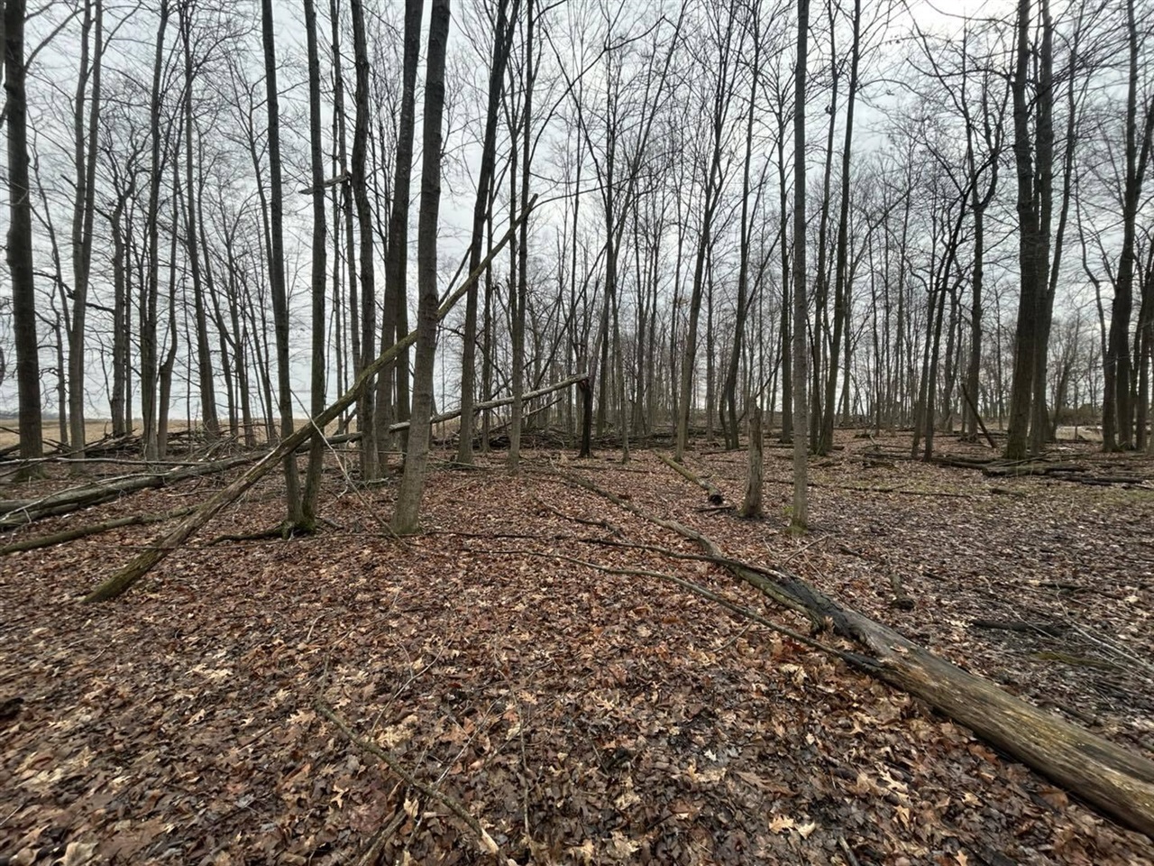 0 Stearns Road Somerset Center, MI 49282 - Photo 7 of 16