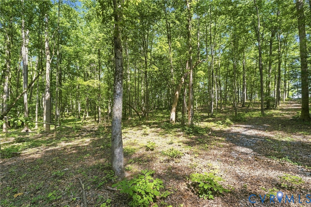 15295 Beaver Dam Road Montpelier, VA 23192 - Photo 11 of 23 Gallery Image 11
