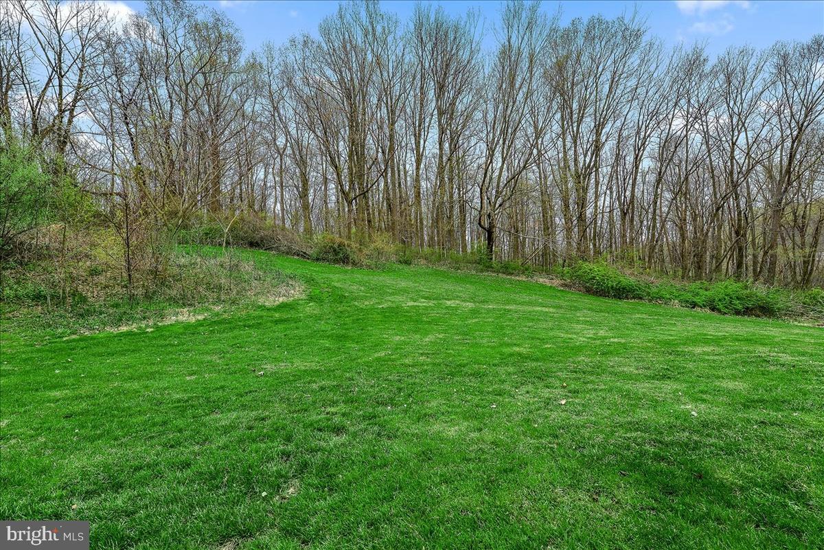 605 Blue Lake Road Denver, PA 17517 - Photo 39 of 44 Yard