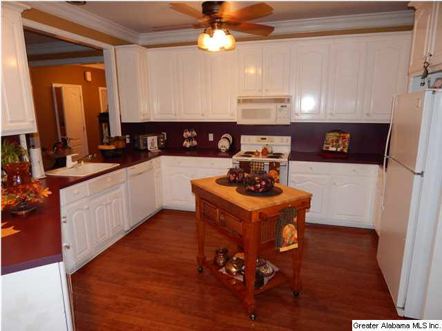 200 Ridge View Way Springville, AL 35146 - Photo 5 of 14