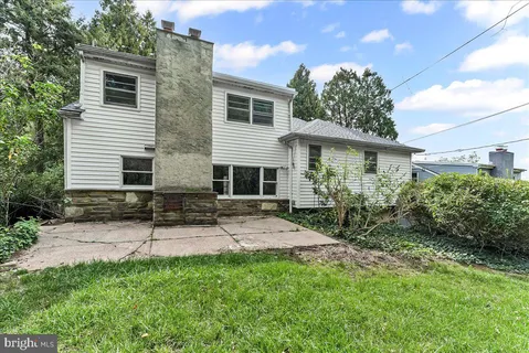a view of a yard with plants and a tree