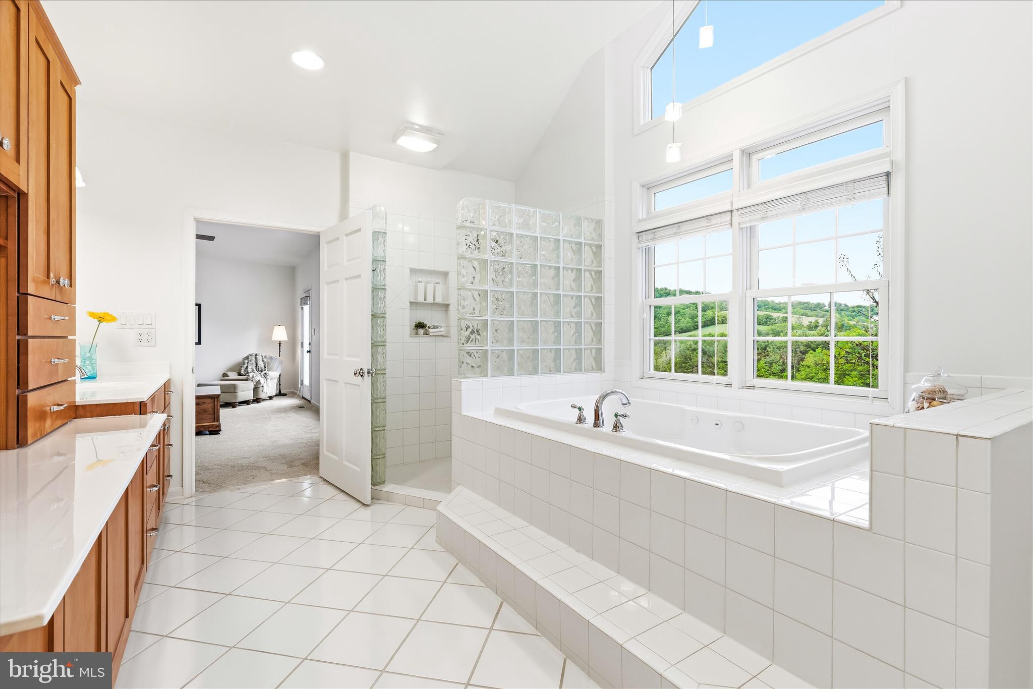10691 Easterday Road Myersville, MD 21773 - Photo 29 of 79 a spacious bathroom with a tub sink and mirror