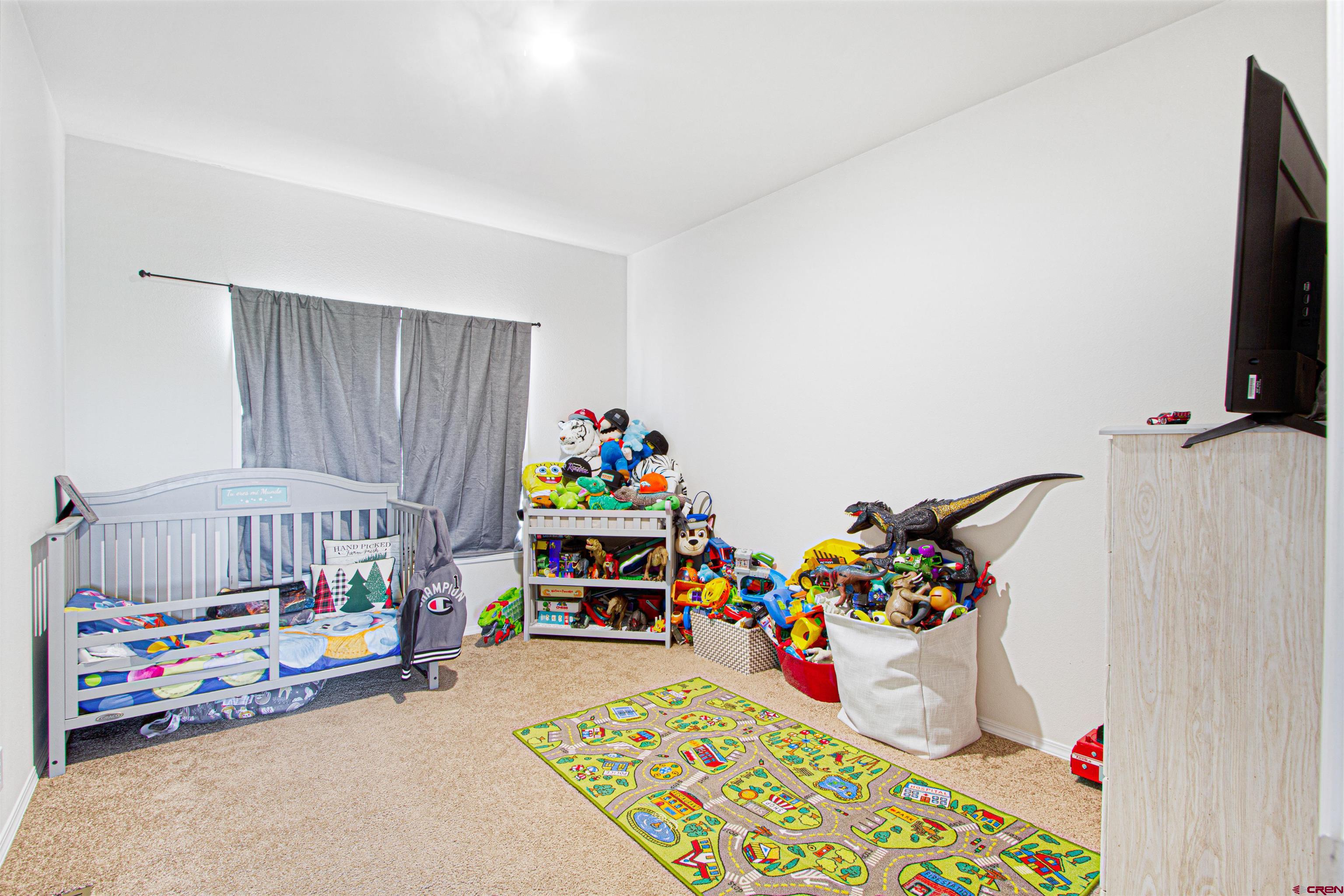 62069 Jade Road Montrose, CO 81401 - Photo 11 of 29