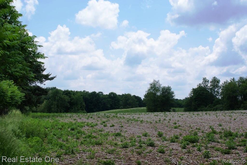 Parcel C Lum Road Attica, MI 48412 - Photo 1 of 11 Gallery Image 1