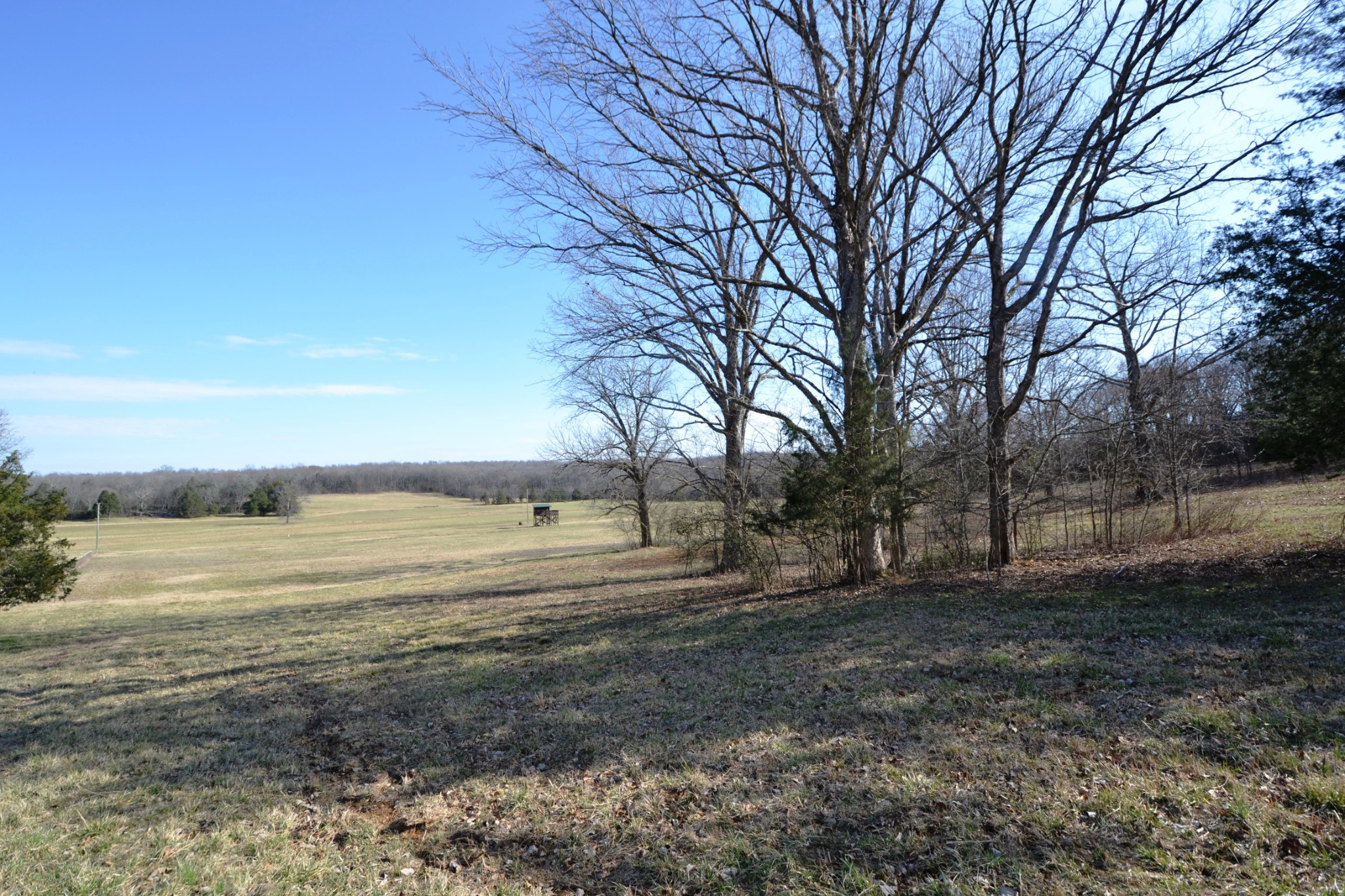 7 Corinth Road Mount Juliet, TN 37122 - Photo 24 of 30 Gallery Image 24