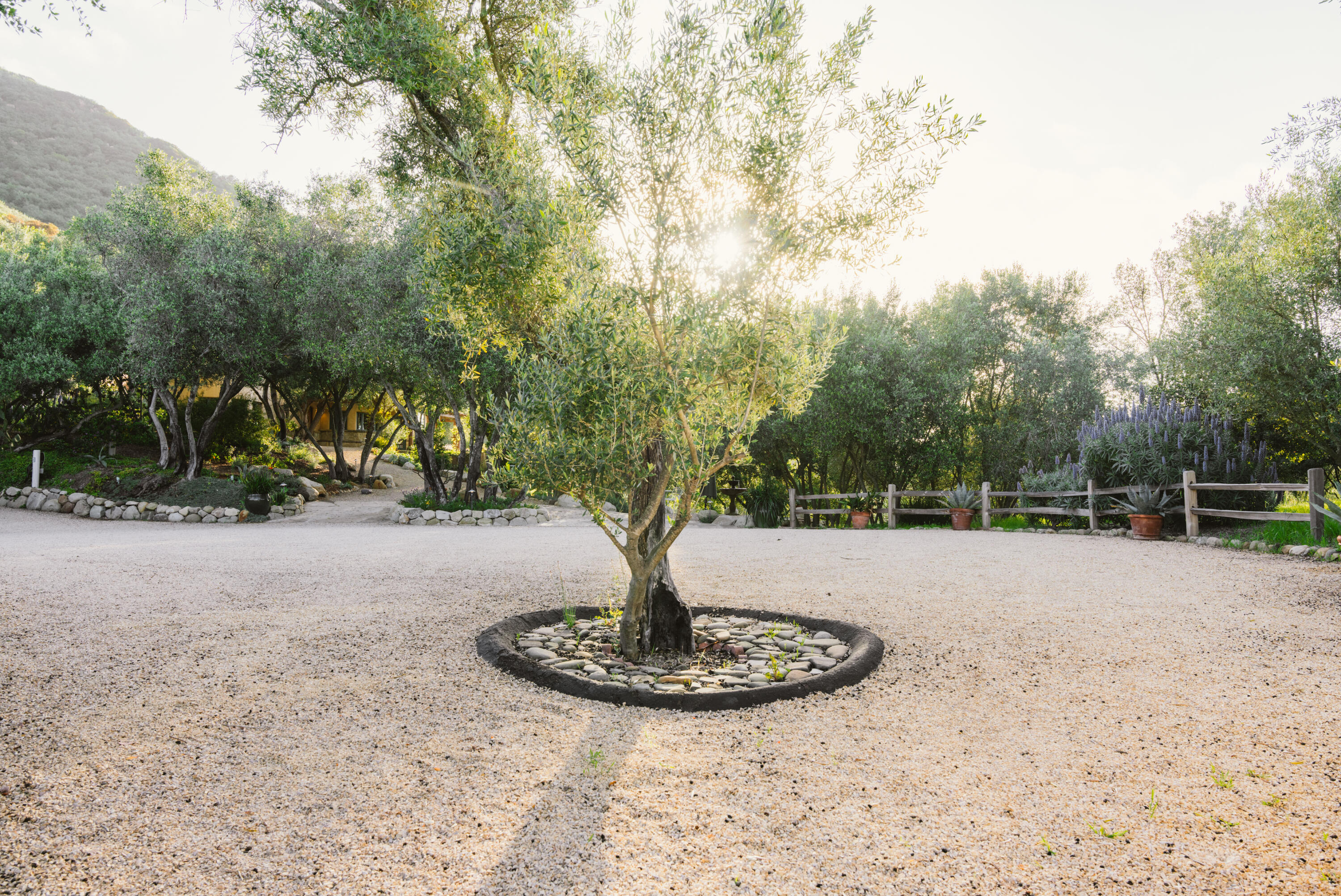 1480 Mission Canyon Road Santa Barbara, CA 93105 - Photo 32 of 38 a view of a fountain with large trees