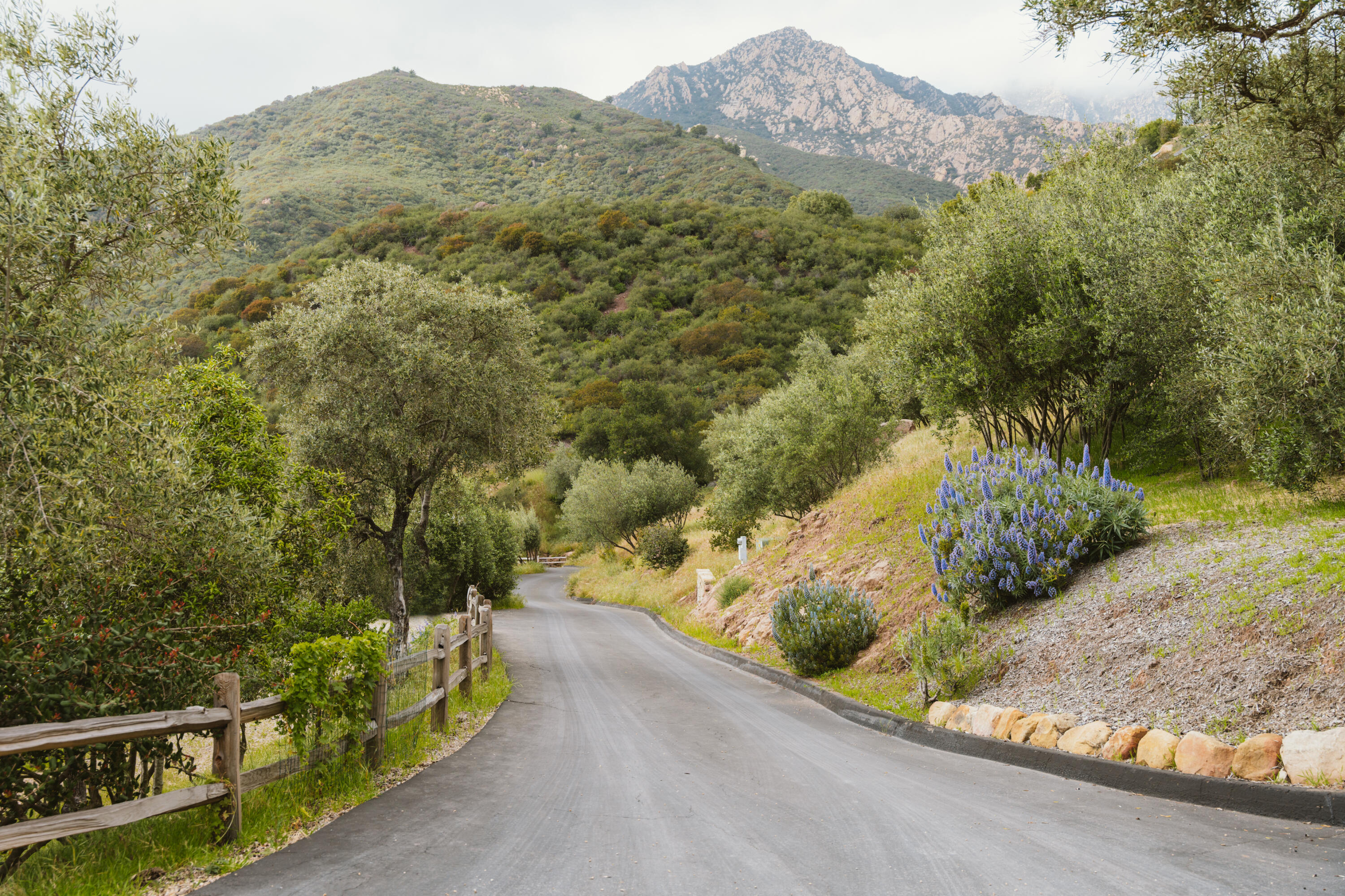 1480 Mission Canyon Road Santa Barbara, CA 93105 - Photo 7 of 38 a view of a mountain with a yard