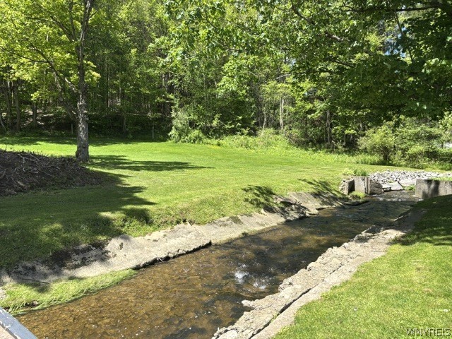11806 Wyandale Road Concord, NY 14141 - Photo 6 of 34 Stream view on the house side . View of yard headi