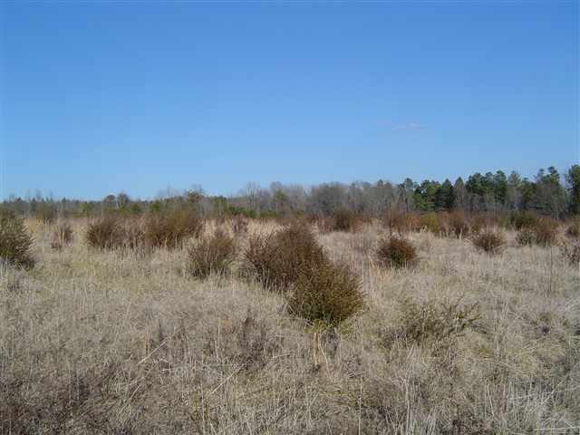 9 Bull Hill Road Gray Court, SC 29645 - Photo 3 of 7 Gallery Image 3