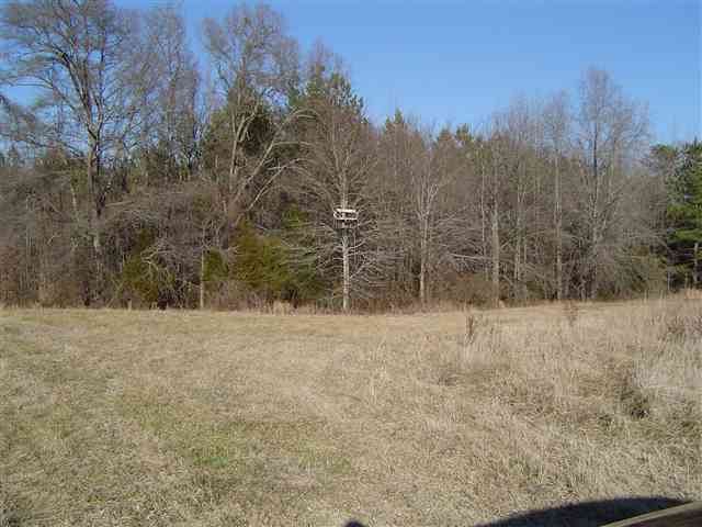 9 Bull Hill Road Gray Court, SC 29645 - Photo 4 of 7 Gallery Image 4