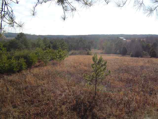 9 Bull Hill Road Gray Court, SC 29645 - Photo 5 of 7 Gallery Image 5