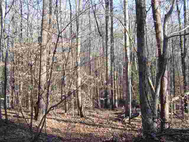 9 Bull Hill Road Gray Court, SC 29645 - Photo 7 of 7 Gallery Image 7