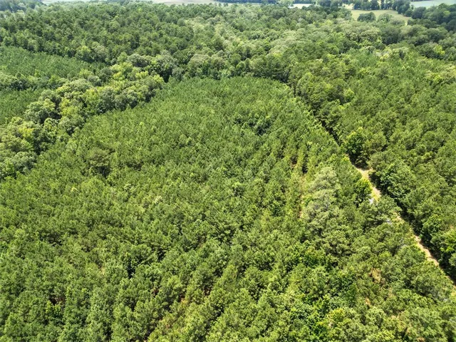 a view of a lush green field