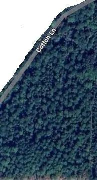 a view of road with trees