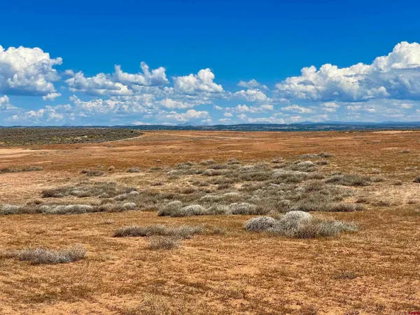 a view of a dry yard