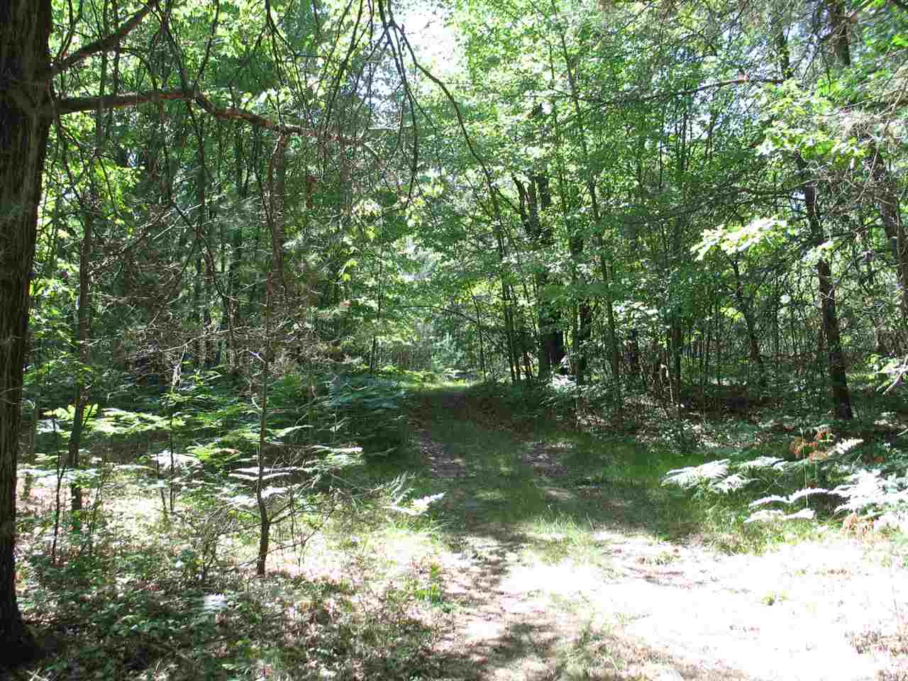 4142 Towerline Road Hale, MI 48739 - Photo 5 of 19 1879123-4.JPG