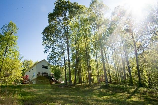 1475 Belltown Road Tellico Plains, TN 37385 - Photo 4 of 25
