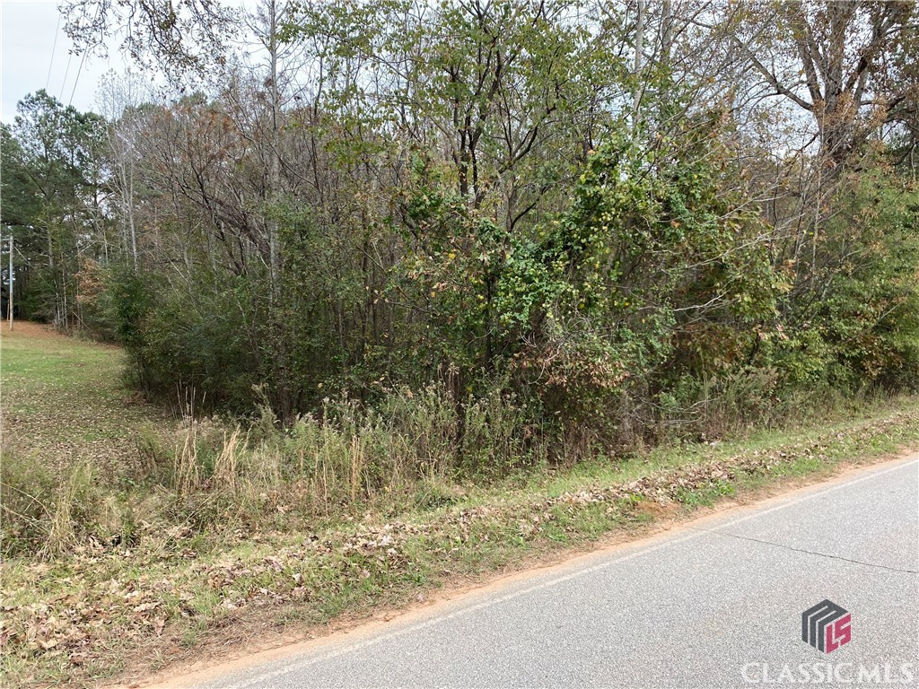0 Ponder Pines Road, Unit LOT 5 McRae-Helena, GA 31037 - Photo 2 of 6