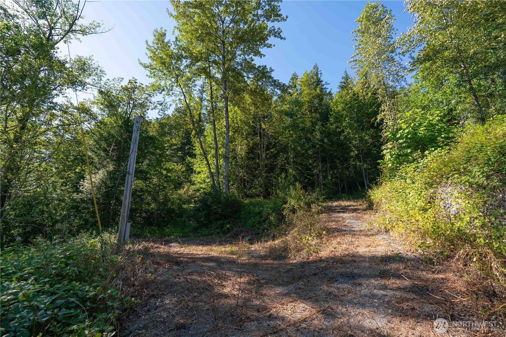 14405 Whiteman Road Gold Bar, WA 98251 - Photo 7 of 37