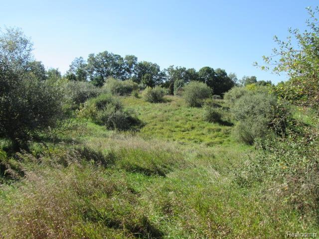 65338 Dequindre Road Washington, MI 48095 - Photo 18 of 28 IMG_0427.jpg