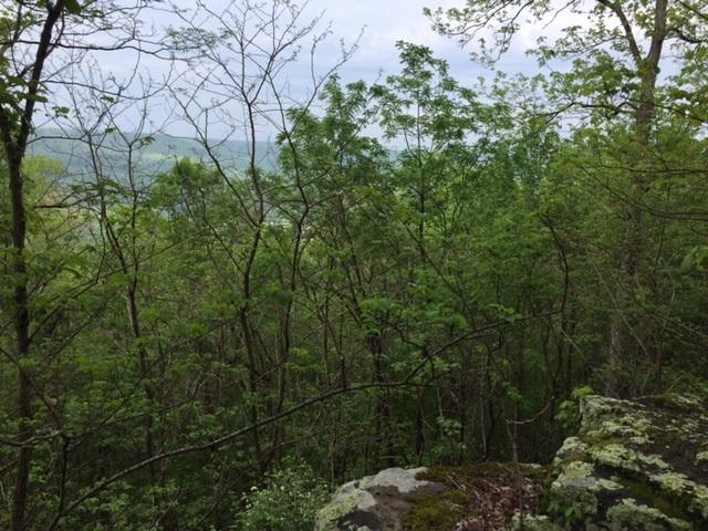 22 Jackson Point Road, Unit 22 Sewanee, TN 37375 - Photo 12 of 14 IMG_4203