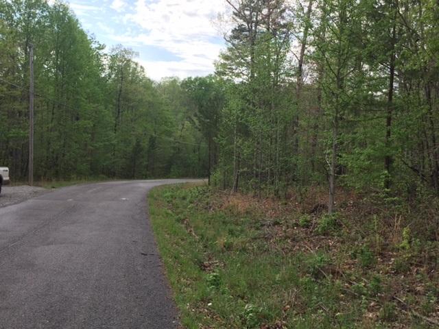 22 Jackson Point Road, Unit 22 Sewanee, TN 37375 - Photo 14 of 14 IMG_4177
