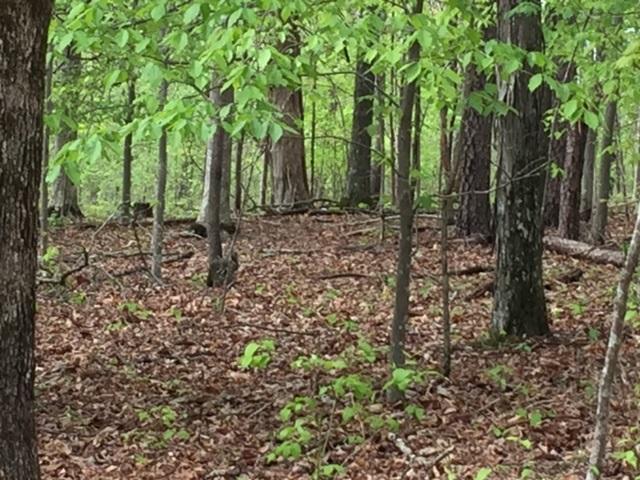 22 Jackson Point Road, Unit 22 Sewanee, TN 37375 - Photo 7 of 14 IMG_4183