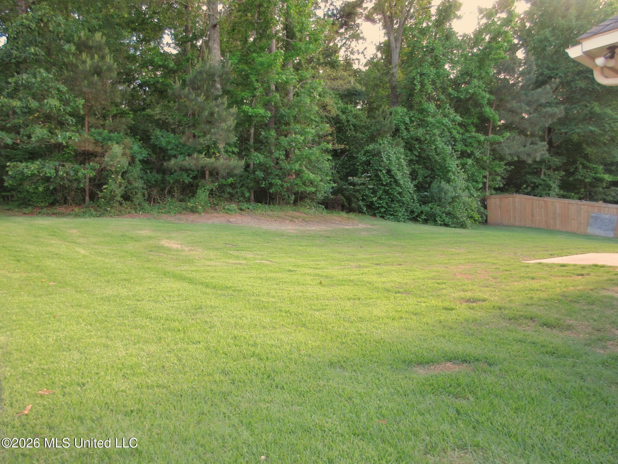 360 Provision Parkway Brandon, MS 39042 - Photo 16 of 16 Rear Photo 2.0