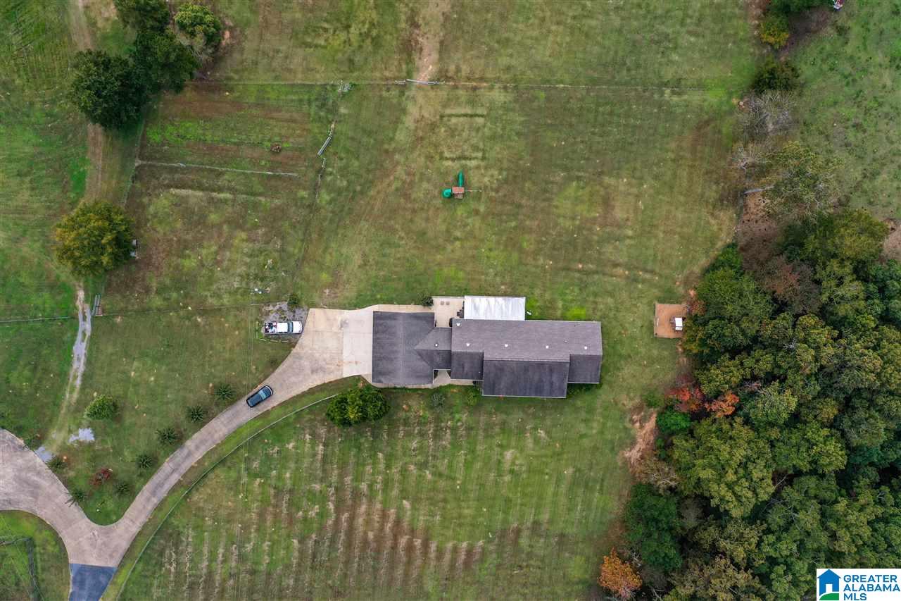 1614 Camp Branch Road West Blocton, AL 35184 - Photo 49 of 50