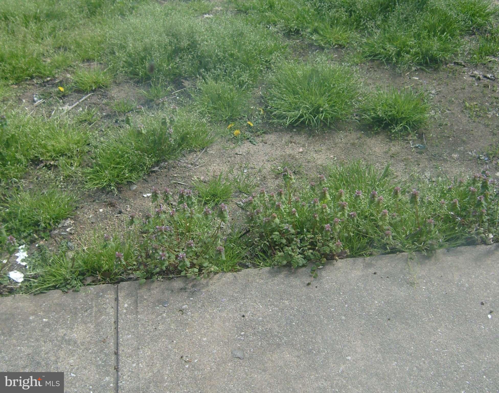 8845 Trimble Way Rosedale, MD 21237 - Photo 12 of 12 Back Door View of Backyard