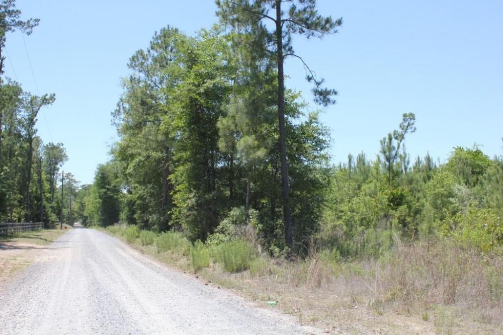 0 Old Cemetery Road Jamestown, SC 29453 - Photo 2 of 6 2