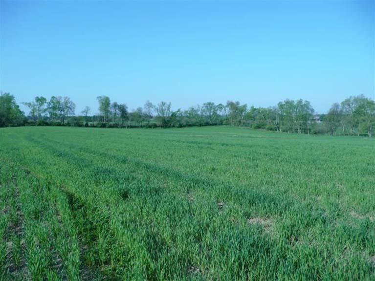 912 Shannon Run Road Versailles, KY 40383 - Photo 15 of 22 Photo 15