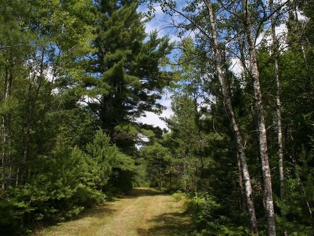 On On Buckatabon Road Eagle River, WI 54521 - Photo 7 of 15 Gallery Image 7