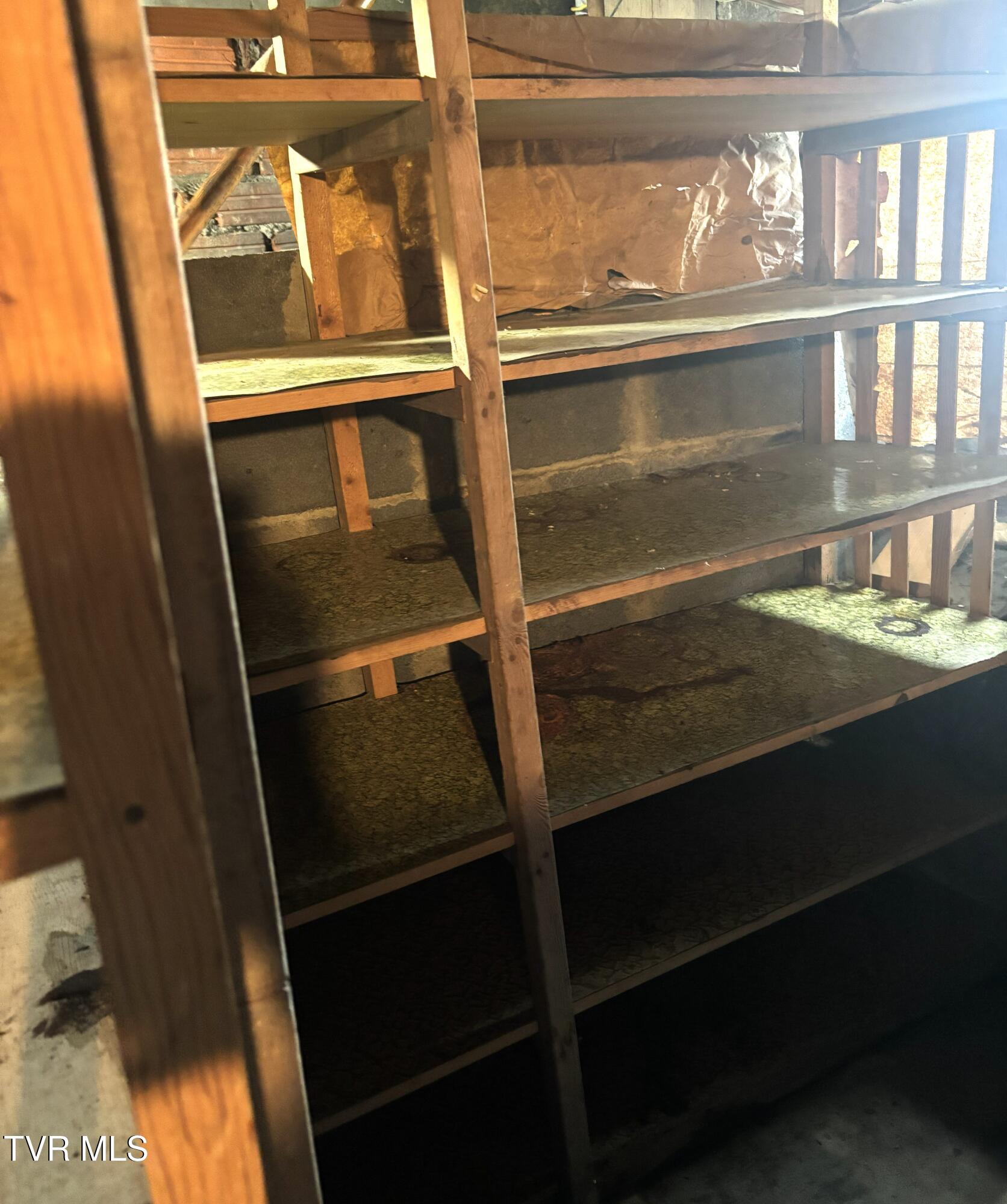 1401 Garden Road Elizabethton, TN 37643 - Photo 28 of 37 99 Basement storage