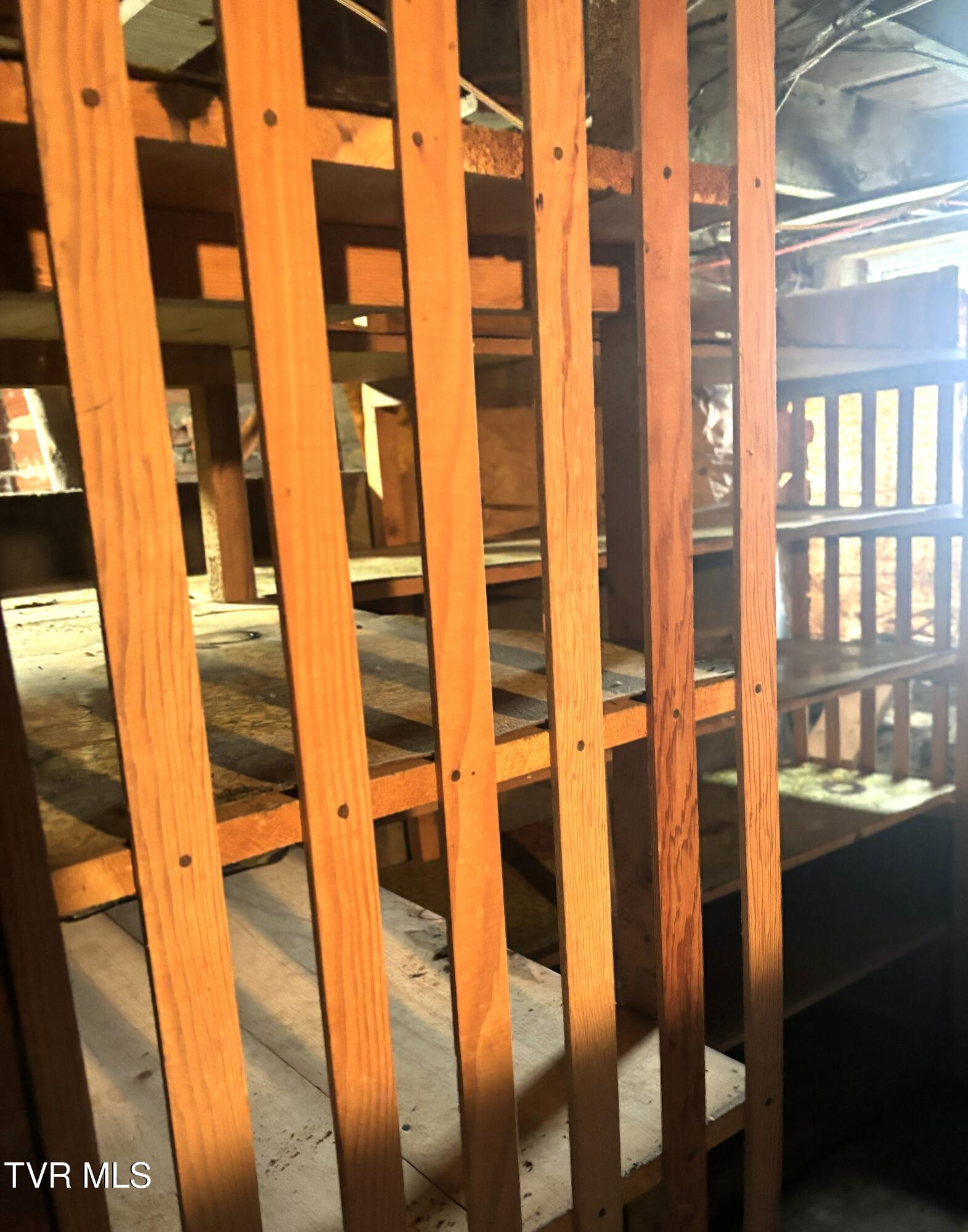 1401 Garden Road Elizabethton, TN 37643 - Photo 35 of 37 99 More Basement Storage