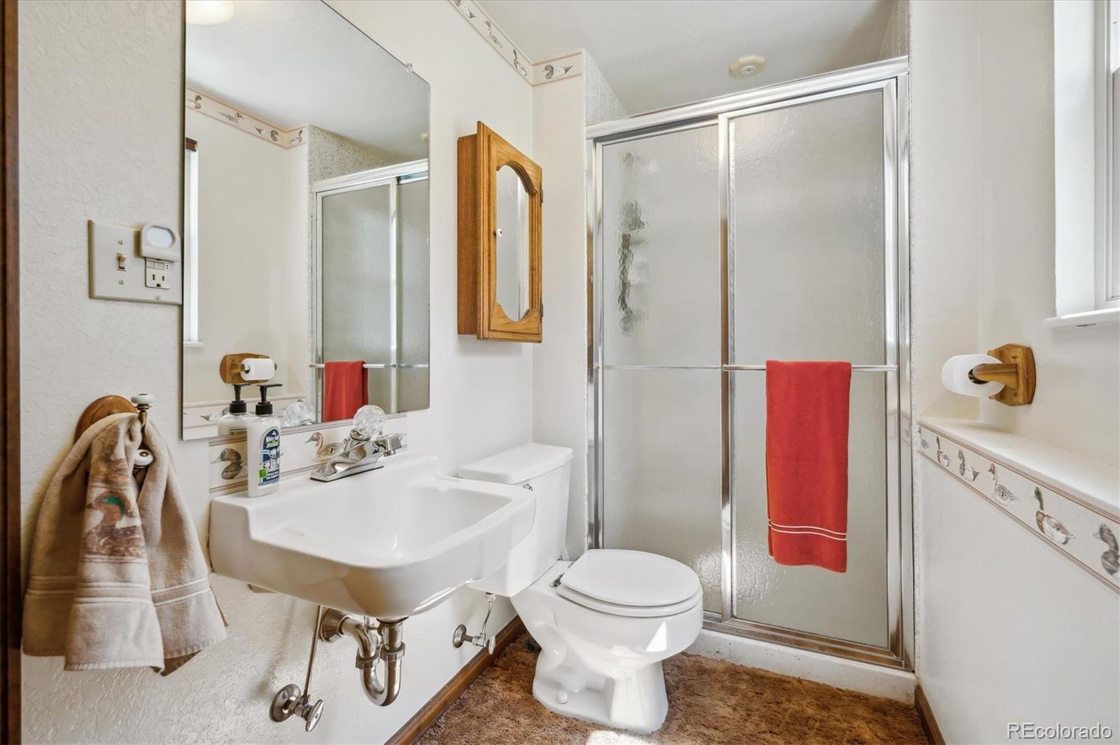 97 Nova Road Pine, CO 80470 - Photo 29 of 39 Gallery Image 29