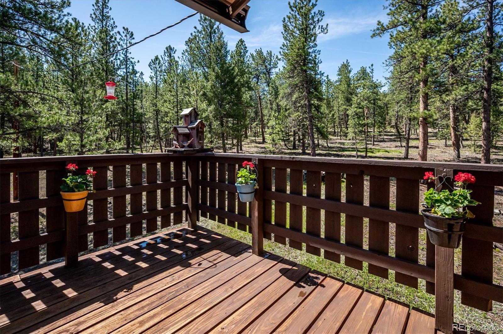 97 Nova Road Pine, CO 80470 - Photo 33 of 39 Gallery Image 33
