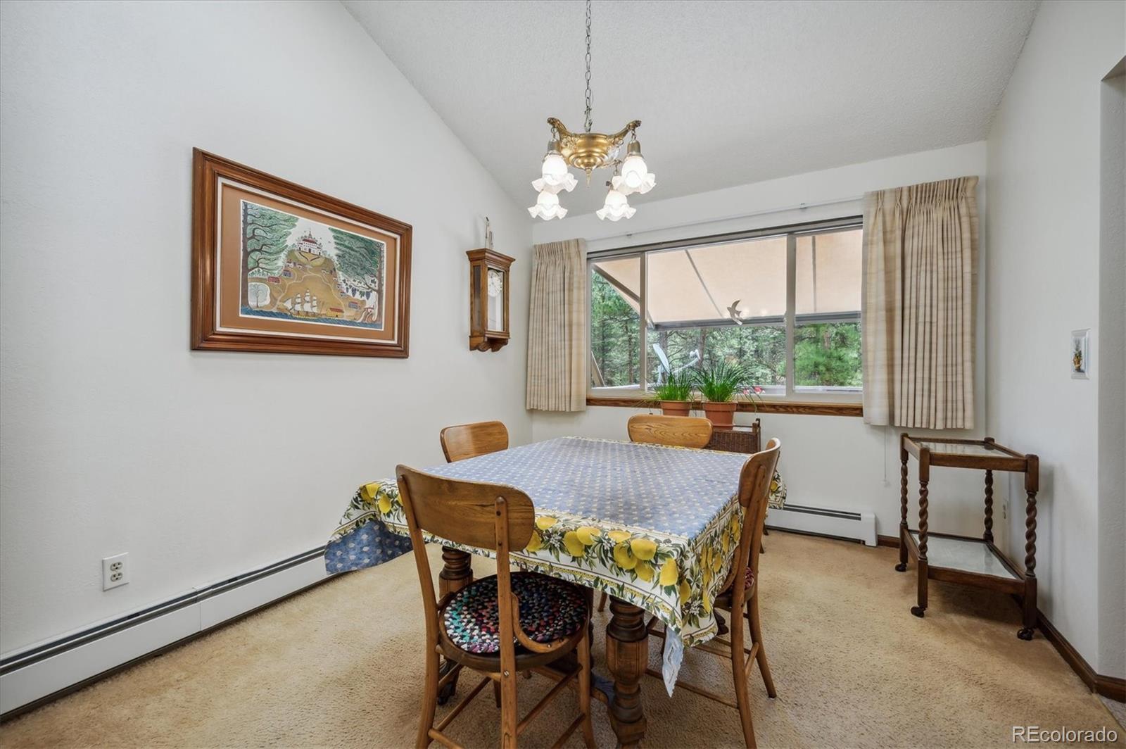 97 Nova Road Pine, CO 80470 - Photo 8 of 39 Gallery Image 8