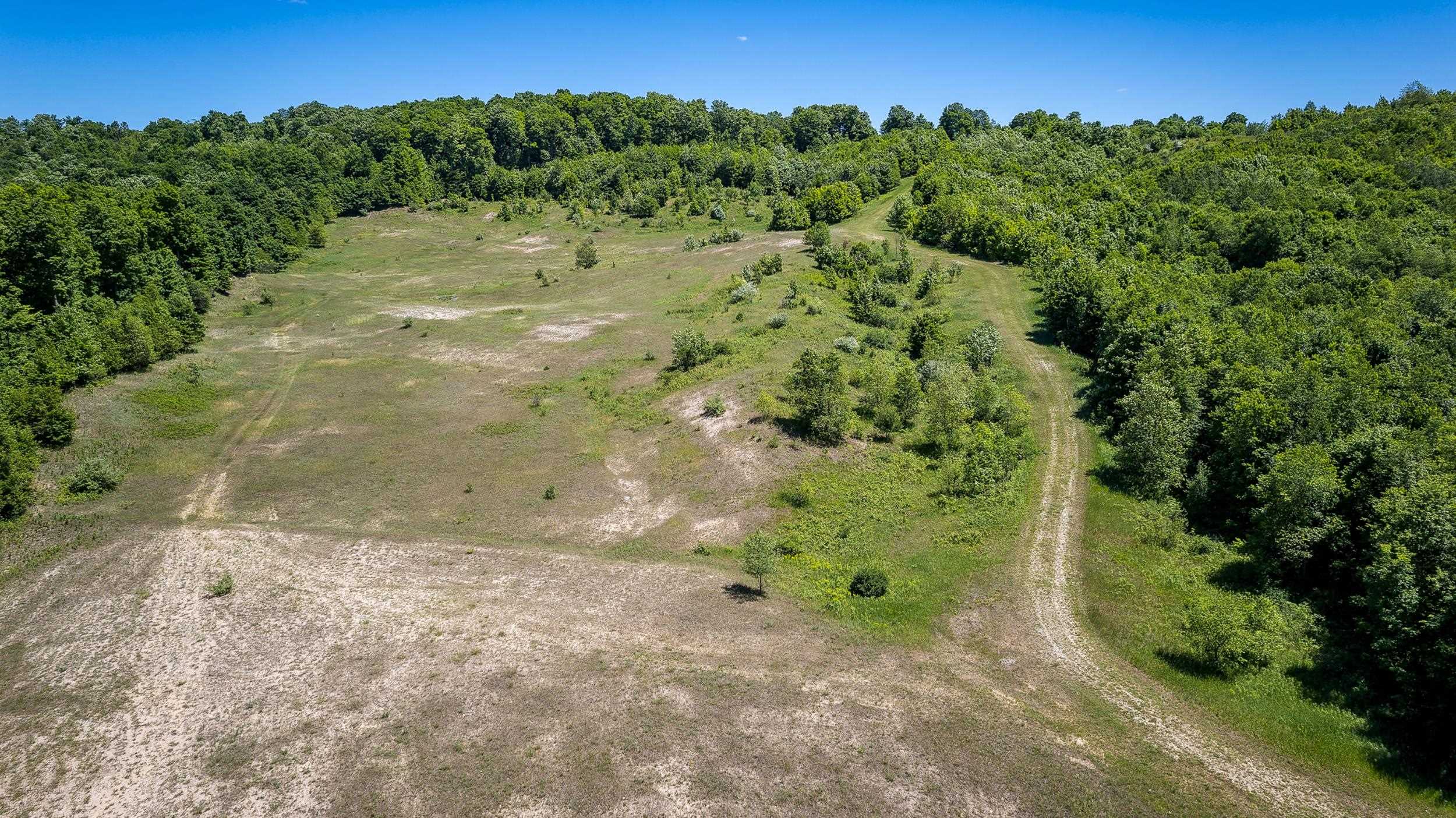 0 Nessen City Road Copemish, MI 49625 - Photo 8 of 17