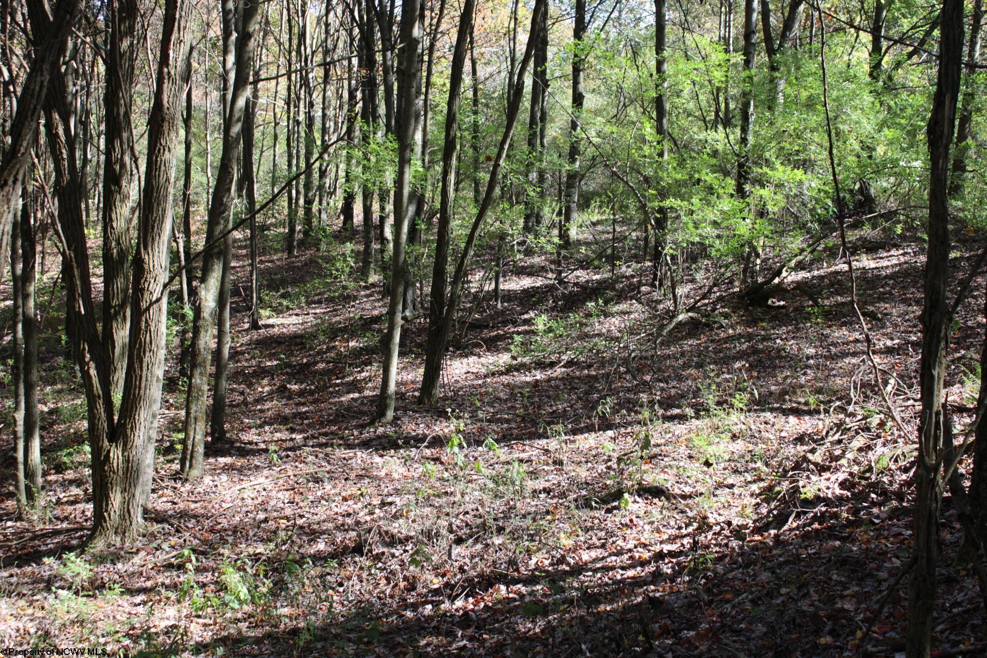 1429 Sand Bank Road Masontown, WV 26542 - Photo 16 of 23 Gallery Image 16