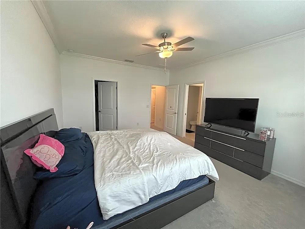 31751 Blue Passing Loop Wesley Chapel, FL 33545 - Photo 11 of 18 a bedroom with a bed and a flat screen tv