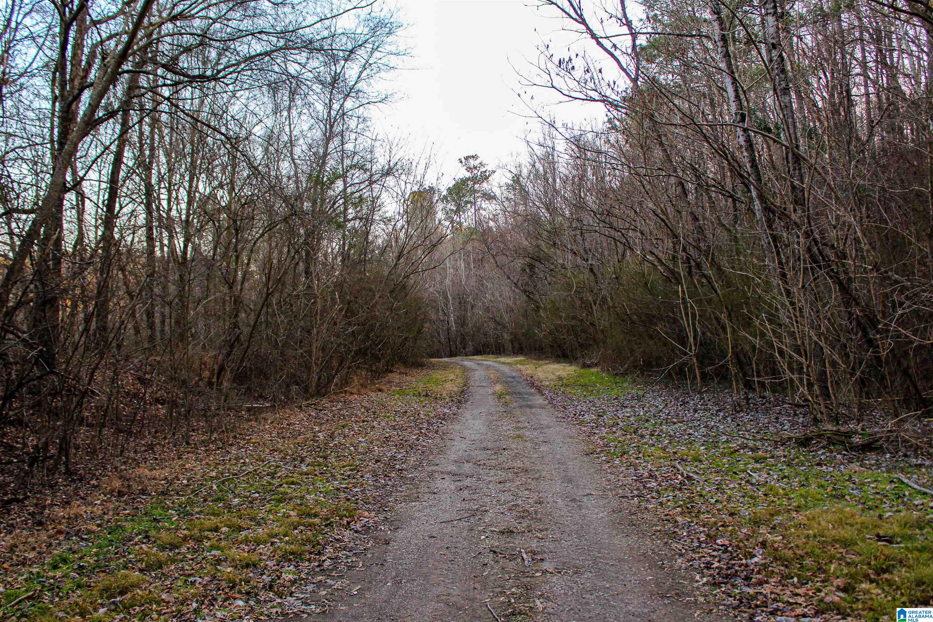 1 Hull Road, Unit 1 Sumiton, AL 35148 - Photo 5 of 55 Gallery Image 5