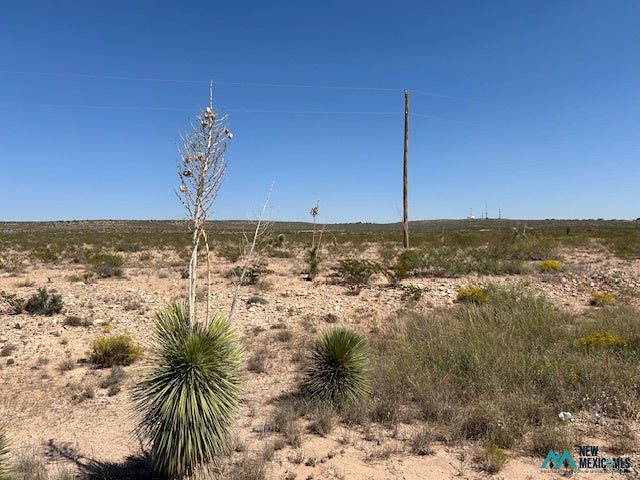 396 North Happy Valley Road Carlsbad, NM 88220 - Photo 5 of 9 Gallery Image 5