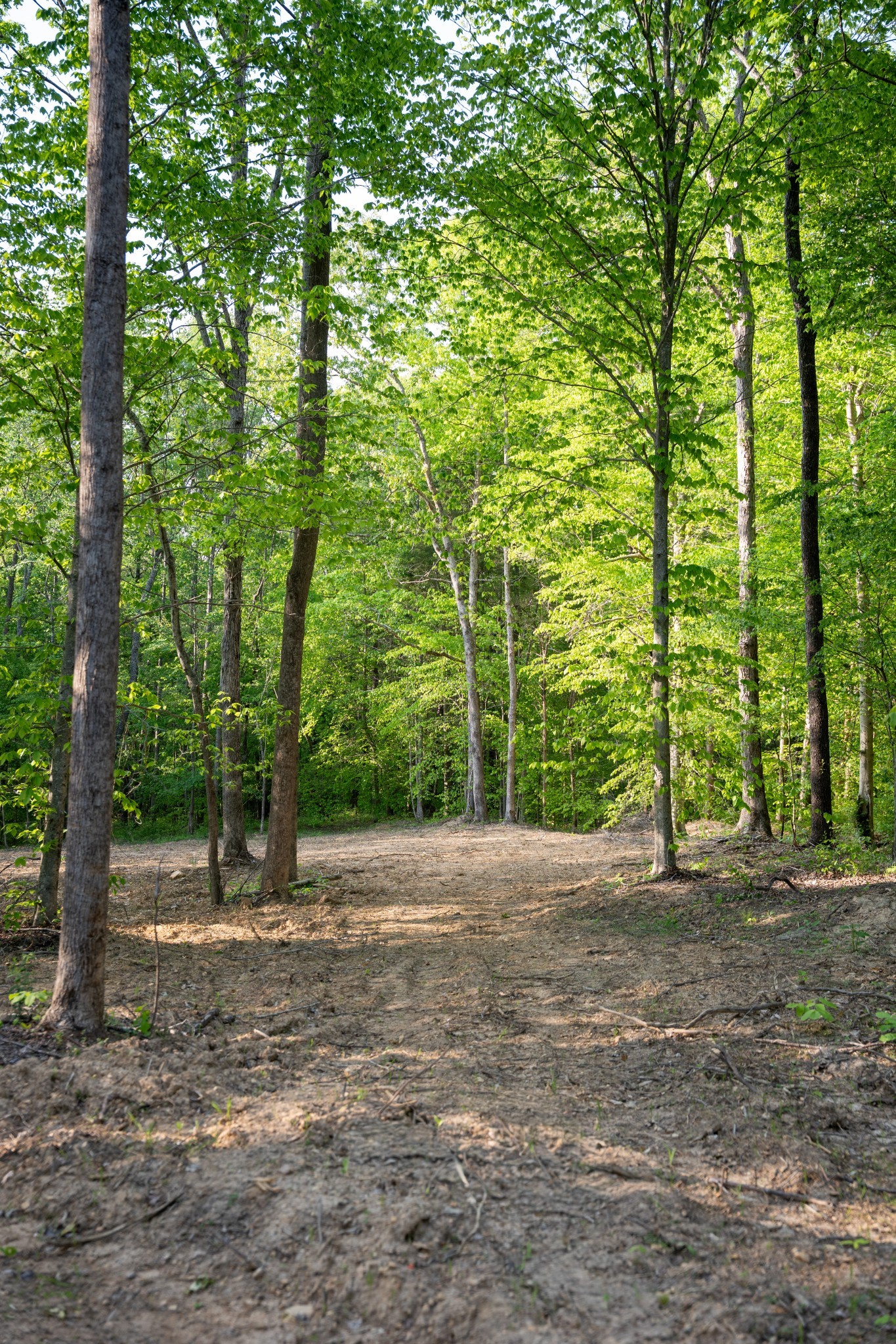 2 Pinewood Road Nunnelly, TN 37137 - Photo 10 of 10 Gallery Image 10