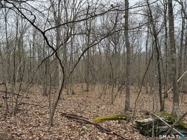 $150,000 | 184 B Kent Road, Warren, CT 06754