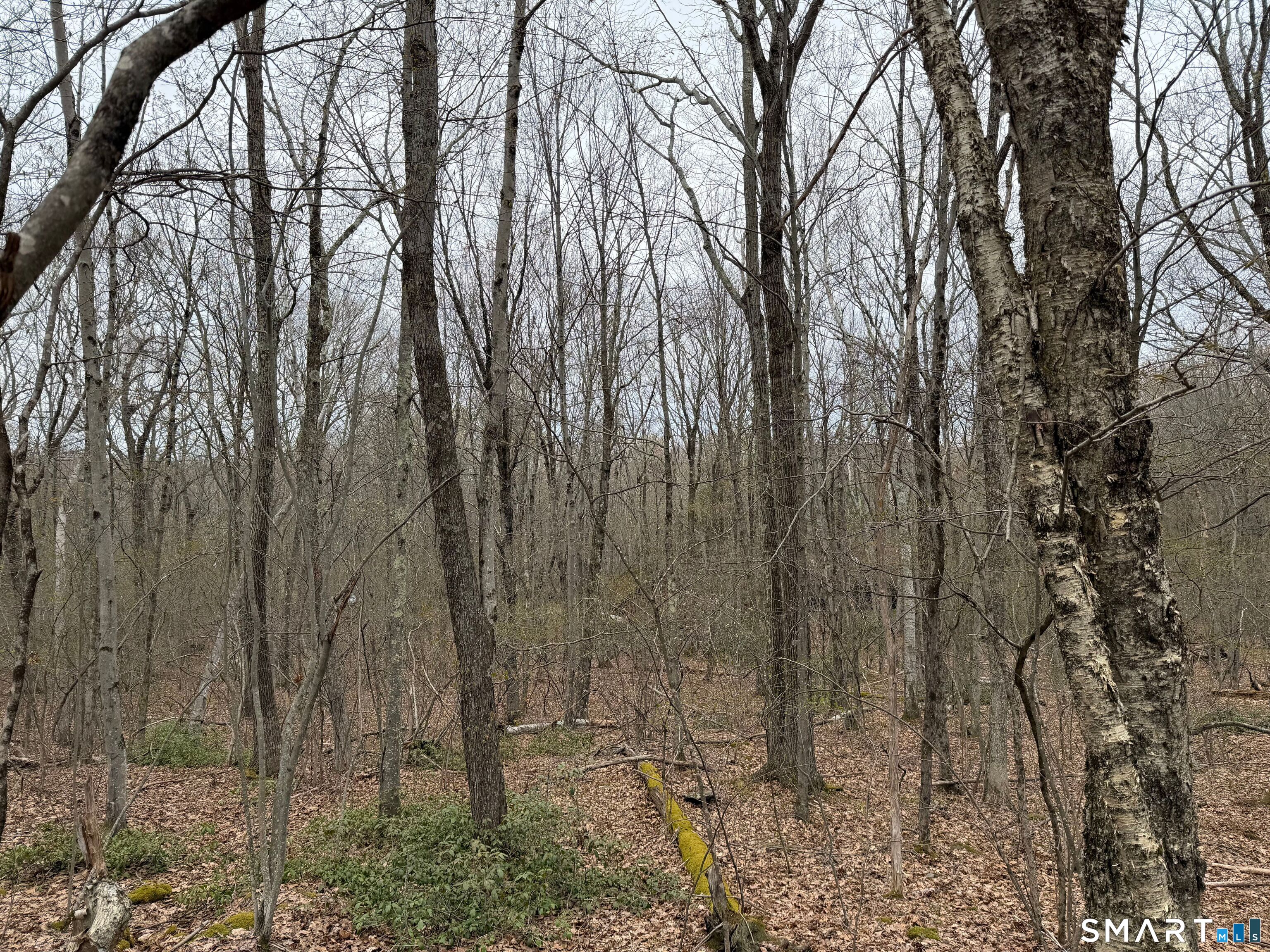 184 B Kent Road Warren, CT 06754 - Photo 5 of 8