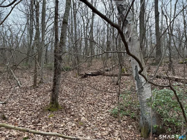 $150,000 | 184 B Kent Road, Warren, CT 06754