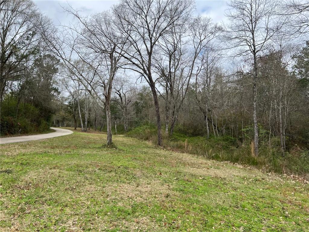 31315 Cowart Bush Road Bush, LA 70431 - Photo 7 of 8 Gallery Image 7