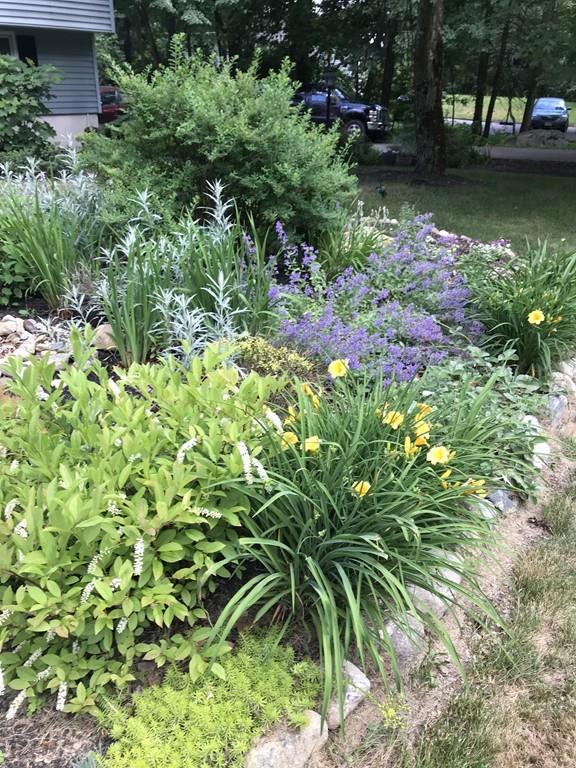 153 Liberty Square Road Boxborough, MA 01719 - Photo 20 of 22